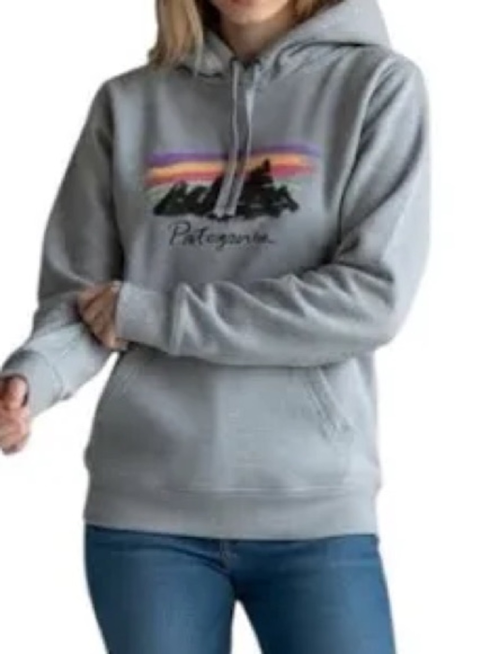 Patagonia Fitz Roy Ahnya Hoodie